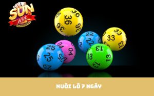 Nuôi lô 7 ngày